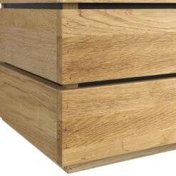 OUTLIV. Flora Pflanzgefäß 40x41x39cm Wildeiche -Outliv outliv by detlef steves flora pflanzgefaess 40x41x39cm wildeiche 1354081 3 1